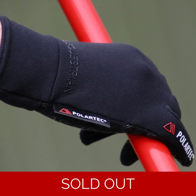 product Image for Hy Equestrian Polartec Glacial Riding and General Glove Childrens